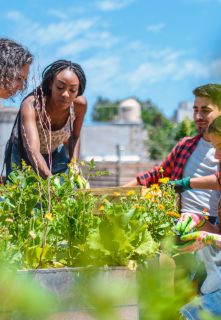 Expats In Saigon Community - Expatsinsaigon.com